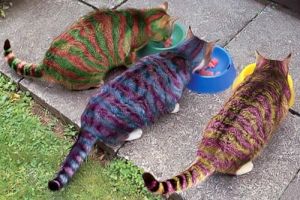 �������� �������� ������ ��������� �����